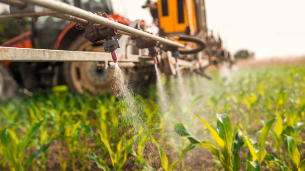 Best Pest Control for Businesses  in Agoura Hills, CA